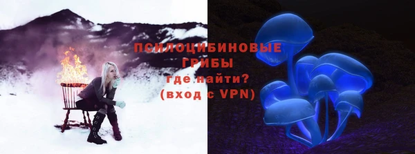 твердый Аркадак