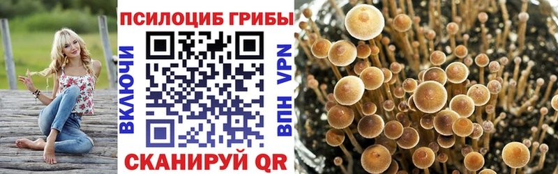 Псилоцибиновые грибы Psilocybine cubensis Пустошка